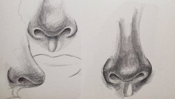 Нарисованный нос Дельфин