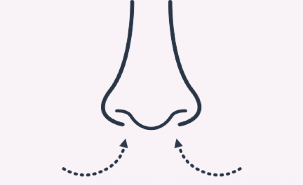 Нос вдыхает