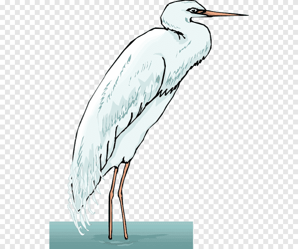 Цапля для детей