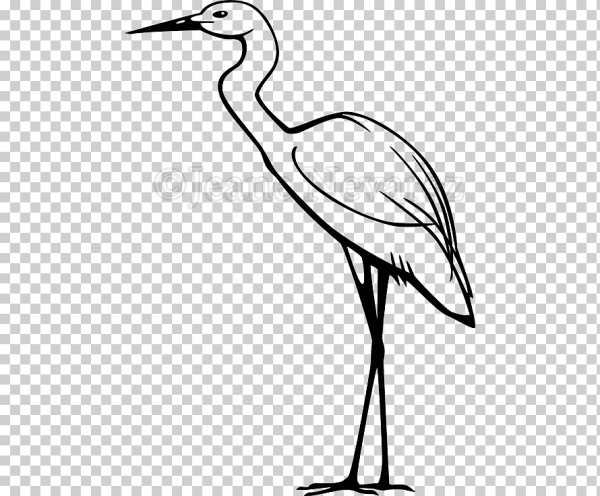Цапля на одной ноге черно-белая
