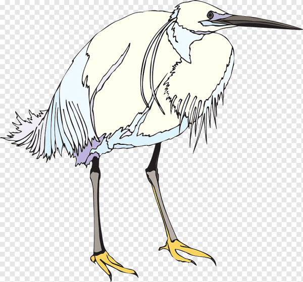 Цапля карандашом