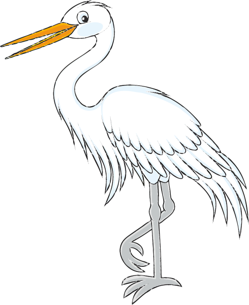 Цапля белая большая раскраска