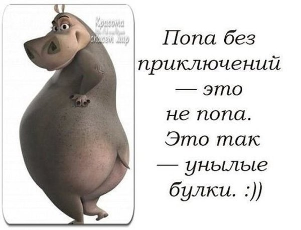 Цитаты про приключения на попу