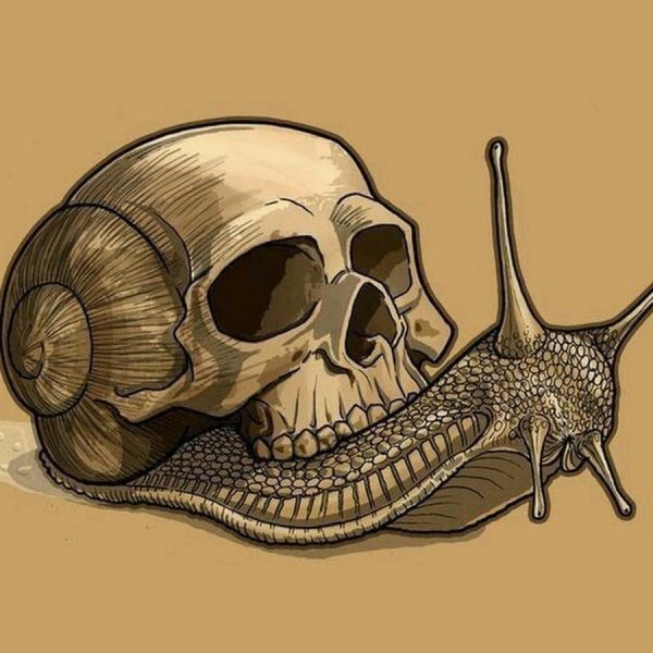 Прикольные черепа