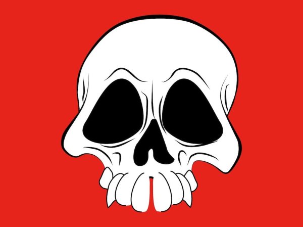 Картинки черепа