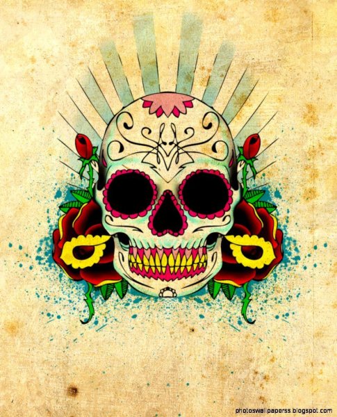 Прикольные черепа