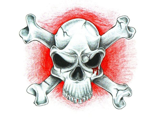 Череп с костями