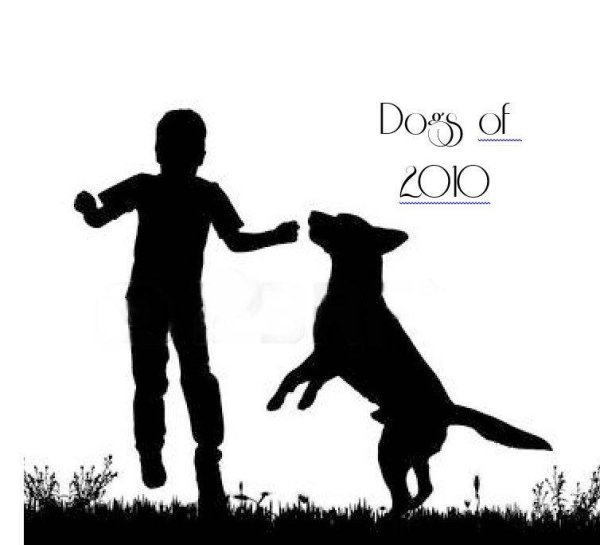 Мальчик с собакой силуэт