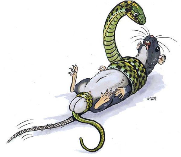 Прикольные рисунки змей