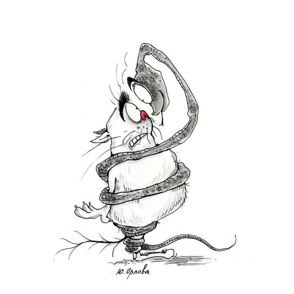 Змея карикатура