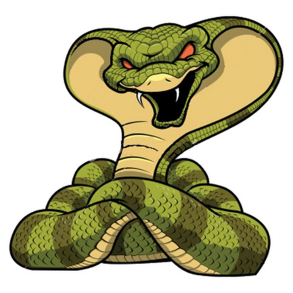 Змея на прозрачном фоне