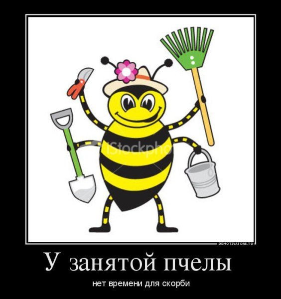 Пчела трудяга