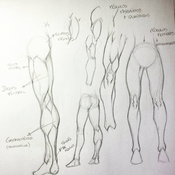 Мужские ноги для рисования