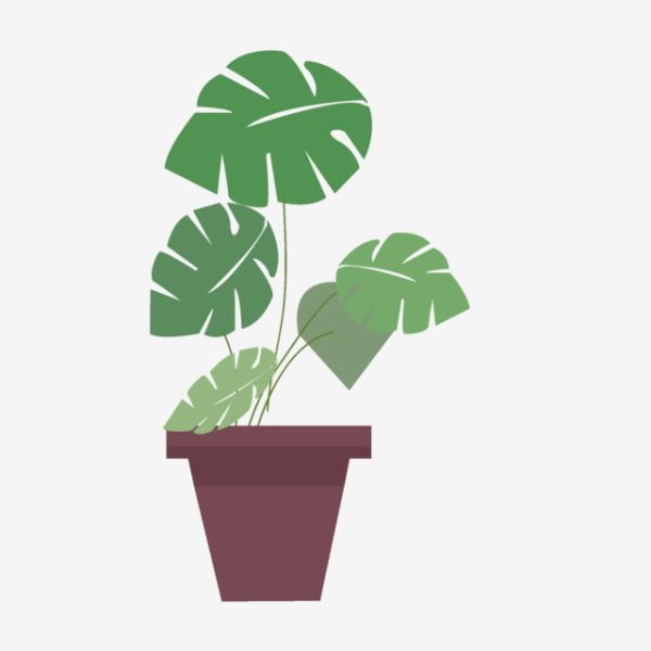 Цветок в горшке напольный вектор