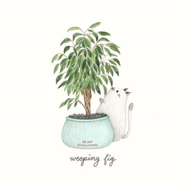 Векторные цветы в горшке