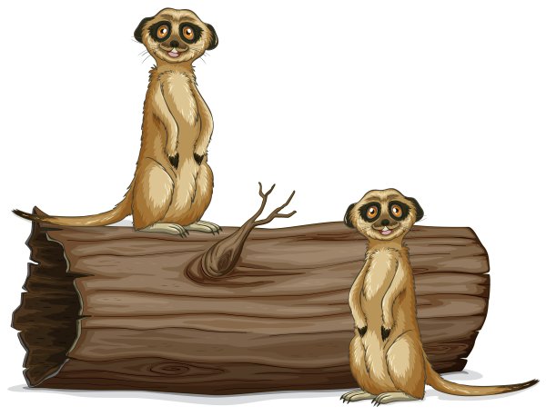 Сурикат мультяшный