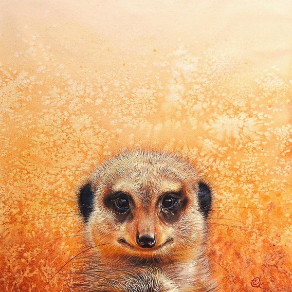 Сурикат рисунок