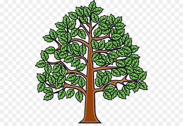 Изображение дерева для детей