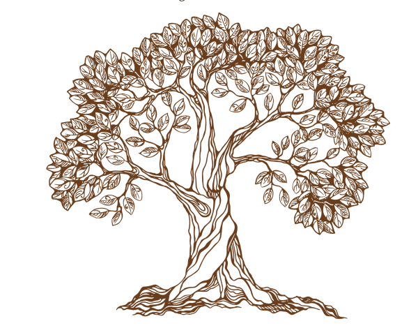 Нарисовать красивое дерево