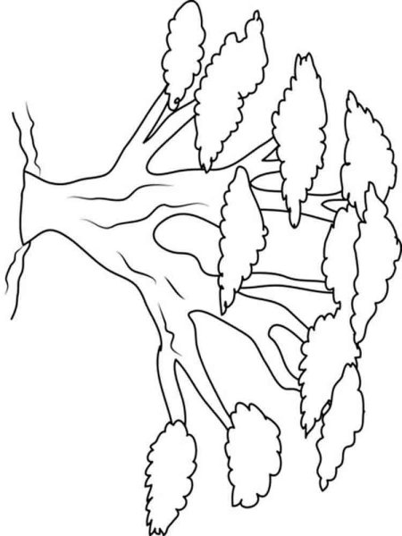 Большой лист дерева раскраска