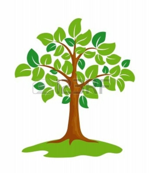 Листья деревьев для детей