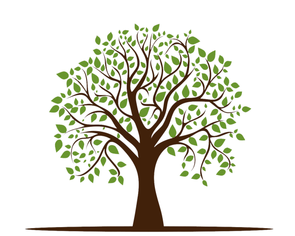 Нарисовать дерево