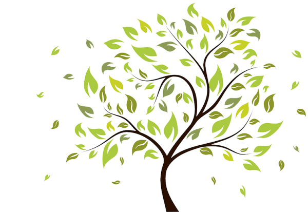 Ветка дерева вектор