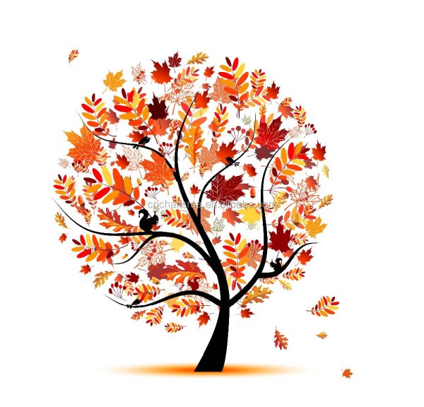 Осеннее дерево