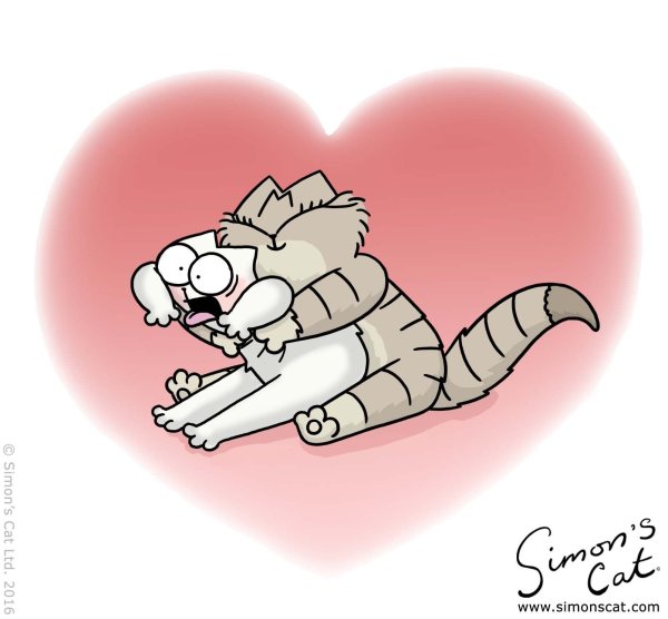 Котики обнимаются мультяшные