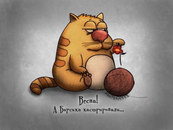 Прикольные рисуночки