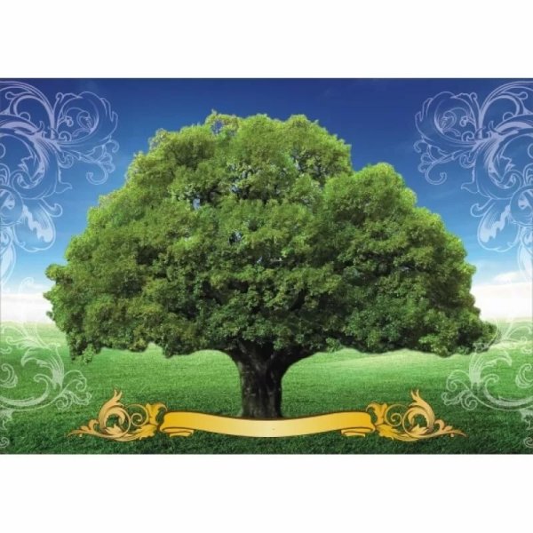 ДЕРЕВОДЛЯ родословнлй