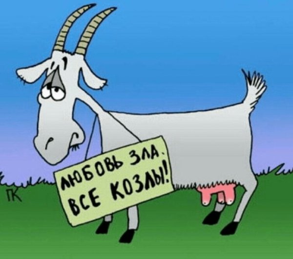 Шутки про козу