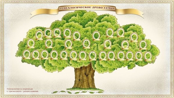 Родословное дерево семьи