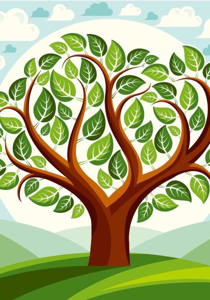 Родословное дерево Шежере