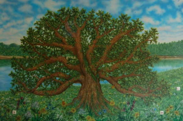 Сказочный дуб