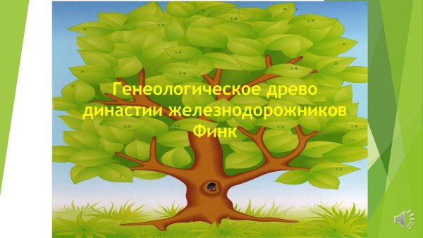 Дерево для родословной без окошек