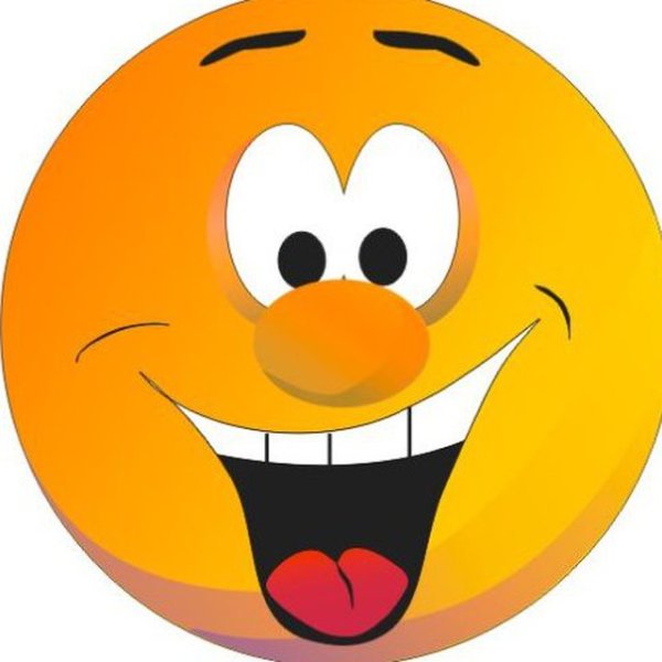 Веселые мордочки