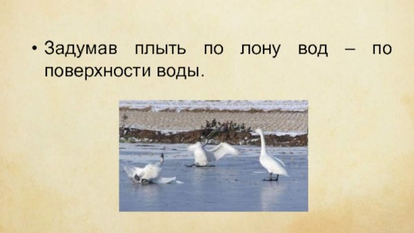 Зимнее стихотворение Пушкина