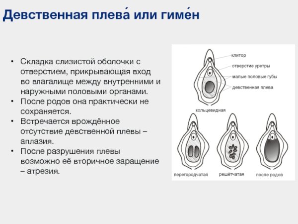 Девственная плева кольцевидной формы