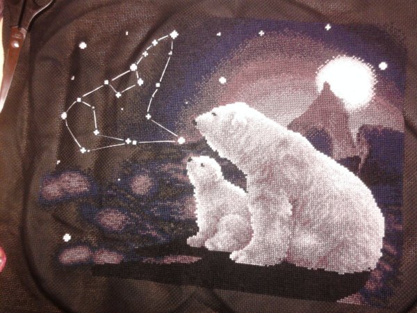 Вышивка Полярная ночь Панна