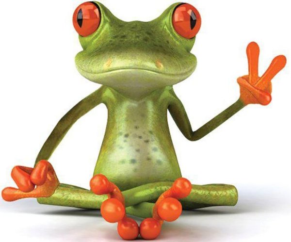 Веселые лягушата