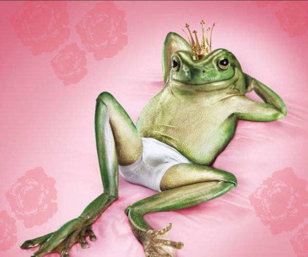 Жаба в трусах