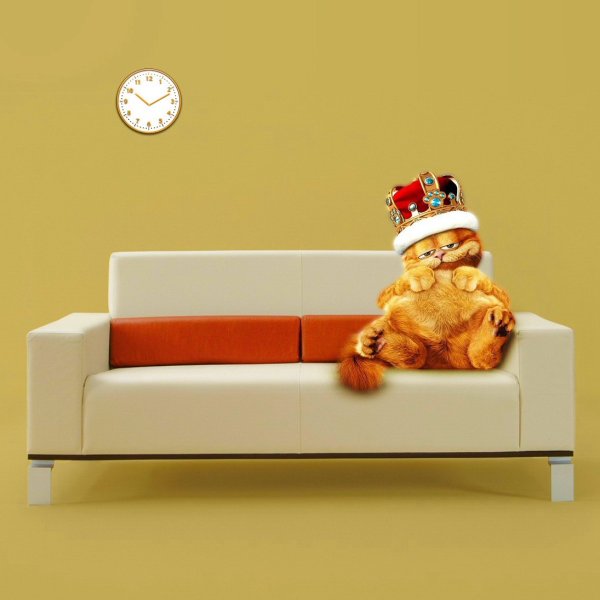 Веселый диван