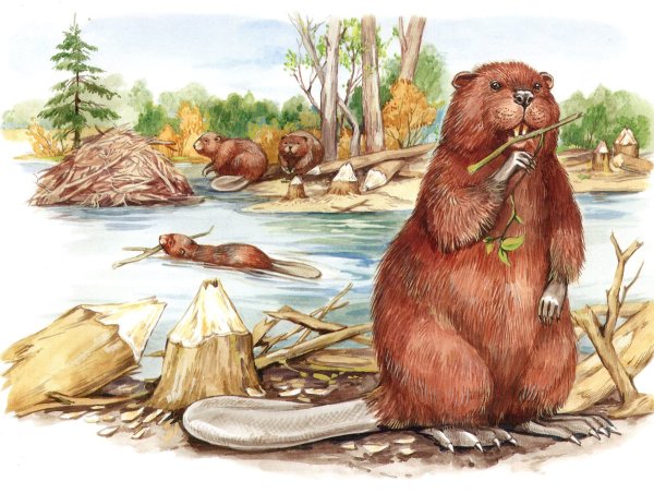 Снегирев Геннадий Бобренок