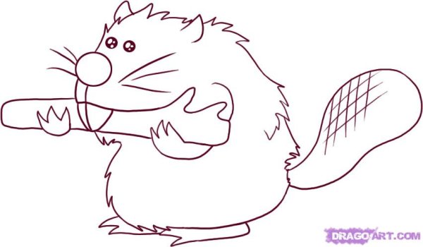 Рисунки бобра лёгкие