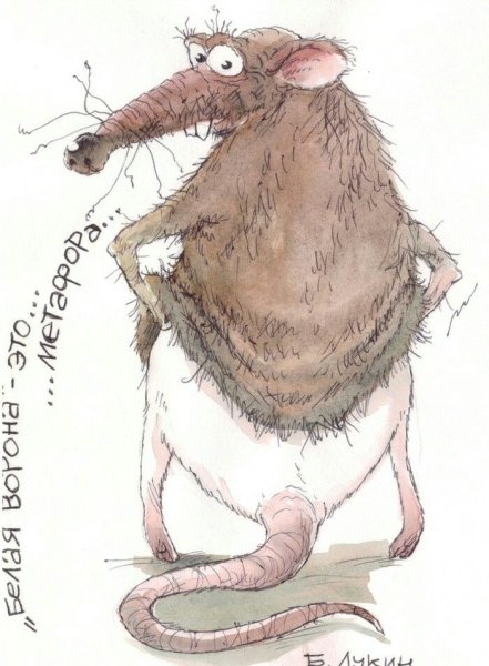 Смешные крысы