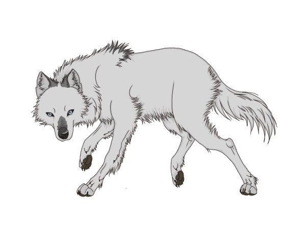 Картинки Волков аниме