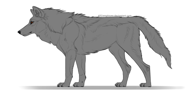 2д волки сбоку