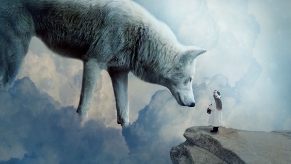 Девушка и волк в тумане