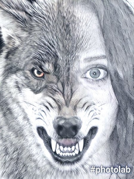 Лицо волка карандашом